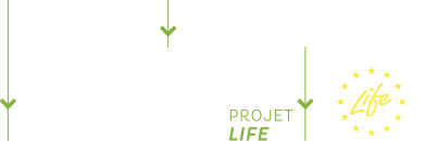 logo projet Life Cool Low Noise Asphalt